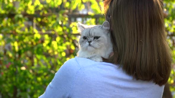 Asian Woman Holding Her Cat In The Light Of Sunset