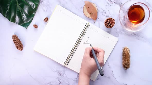 Top View of Women's Hand Writing New Year Goals on Notepad 