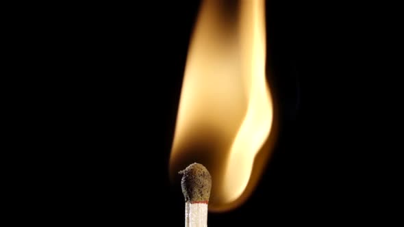Match Ignites and Burns with a Flame. Slow Motion. Black Background