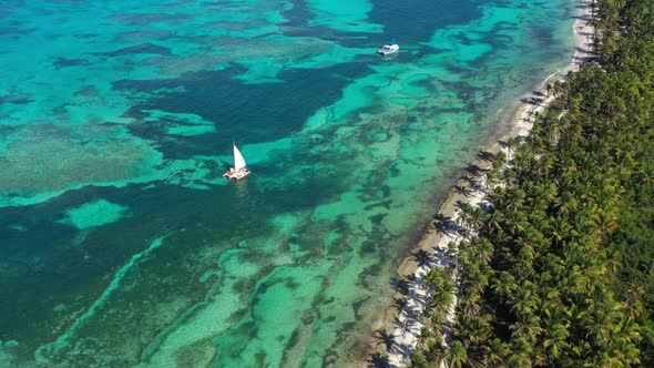 Aerial View From Drone on Tropical Beach with Palm Trees and Speed Boats Shipping in Caribbean Sea