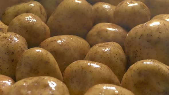 Potatoes Are Washed In Fine Spray