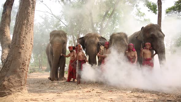 Mahout and Elephants Training in the forest of Thailand.