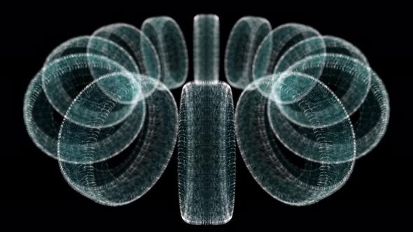 Car Tires Hologram alt