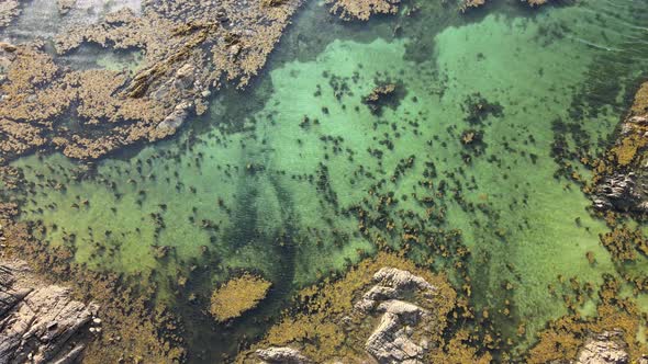 Crystal Clear Water Of North Atlantic Ocean Near The Coral Strand Beach In Carraroe, Galway, Ireland