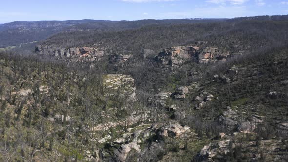 Drone aerial footage of forest regeneration after bushfires in regional Australia