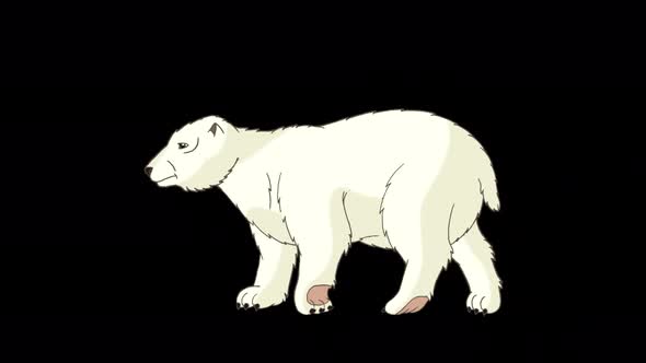 Polar bear 2 alpha matte