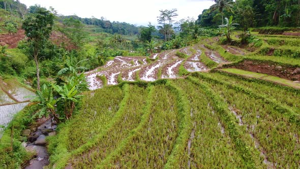 Aerial view of rice terraces in Selogriyo village, Indonesia after harvest