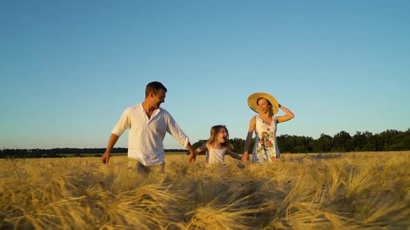 Happy family with little daughter holding hands and running in wheat field