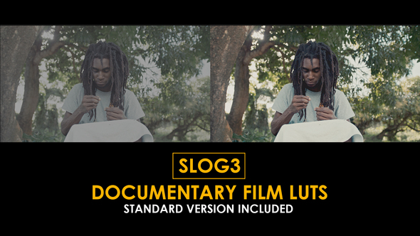 Slog3 Documentary Film and Standard LUTs