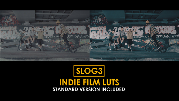 Slog3 Indie Film and Standard LUTs