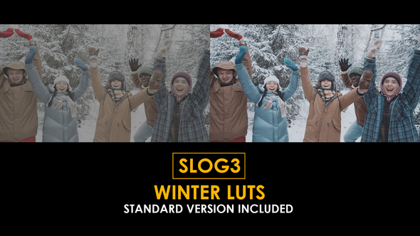 Slog3 Winter and Standard LUTs