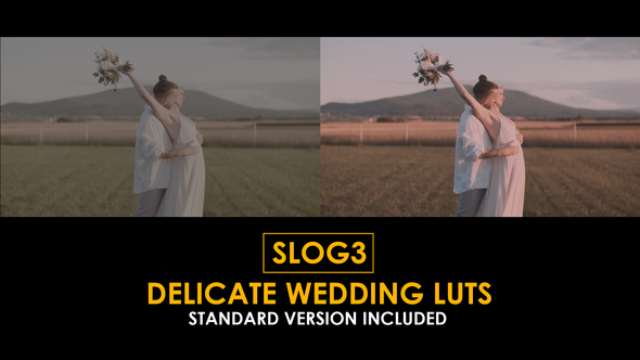 Slog3 Delicate Wedding and Standard Color LUTs