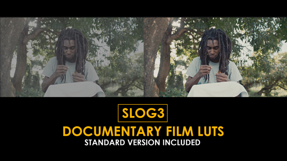 Slog3 Documentary Film and Standard Color LUTs alt