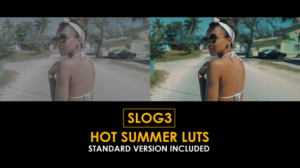 Slog3 Hot Summer and Standard Color LUTs