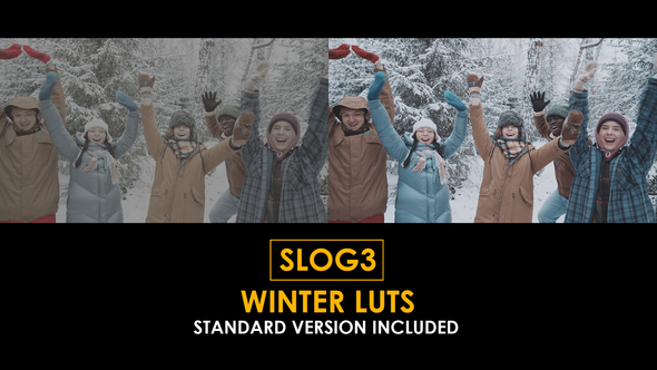 Slog3 Winter and Standard Color LUTs alt