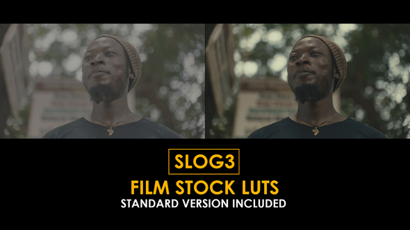 Slog3 Film Stock and Standard Color LUTs alt