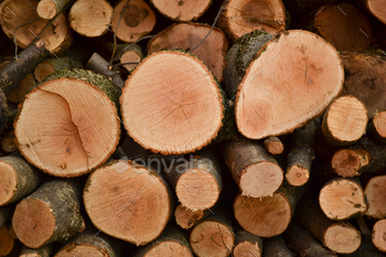 A row of wooden logs for a fireplace