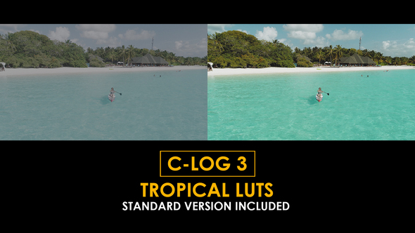 C-Log3 Tropical and Standard LUTs