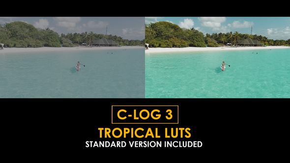 C-Log3 Tropical and Standard Color LUTs