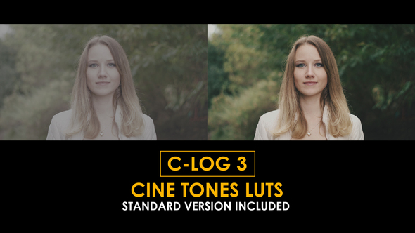 C-Log3 Cine Tones and Standard LUTs