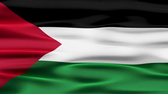 State Of Palestine Flag Waving