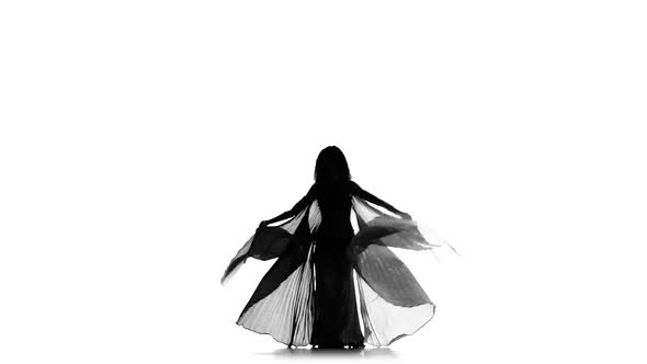 Exotic Belly Dancer Girl Dance with Two Wings on White, Silhouette