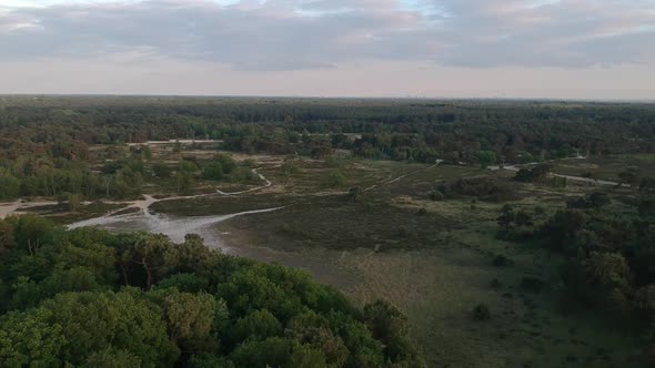 Forestry landscape and tall steel watchtower, push out aerial view