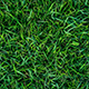 Grass tile Texture - 3DOcean Item for Sale