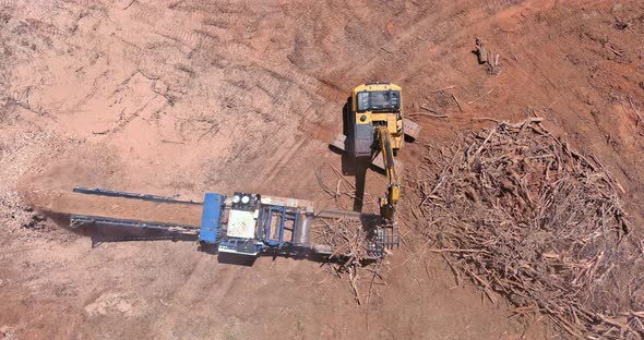 Aerial View on Wood Chipping Machine Chipper Process