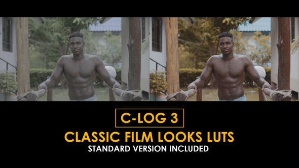 C-Log3 Classic Film Looks and Standard LUTs