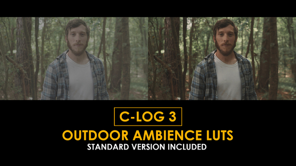 C-Log3 Outdoor Ambience and Standard LUTs