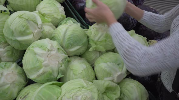 A Girl Chooses a Cabbage at the Market