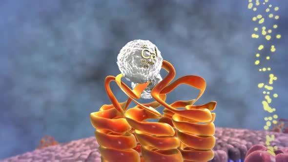 Parathyroid hormone