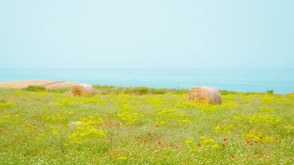 Green Field with Hay Bales in Front of the Sea