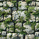 Mossy stone wall tile texture - 3DOcean Item for Sale