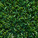 Grass tile Texture - 3DOcean Item for Sale