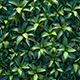 Grass tile Texture - 3DOcean Item for Sale