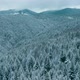 Forest Mountains Snow Cold Winter Wood Hill Frozen Travel Nature - VideoHive Item for Sale