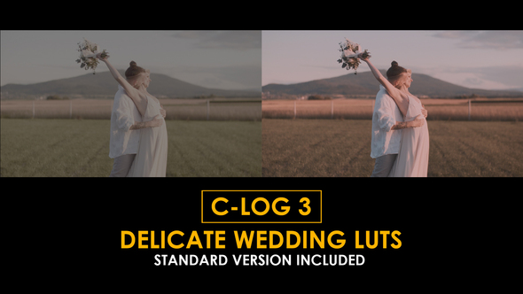 C-Log3 Delicate Wedding and Standard LUTs