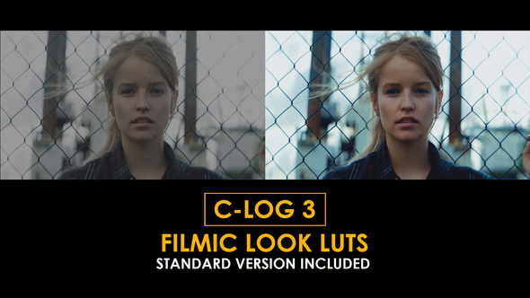 C-Log3 Filmic Look and Standard LUTs