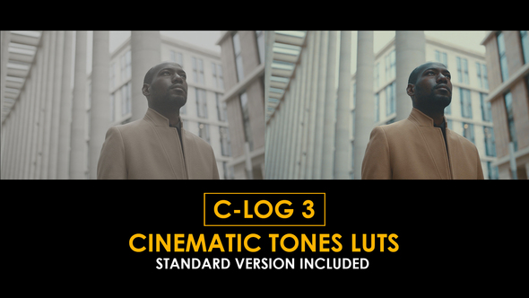 C-Log3 Cinematic Tones and Standard LUTs