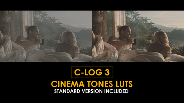 C-Log3 Cinema Tones and Standard LUTs