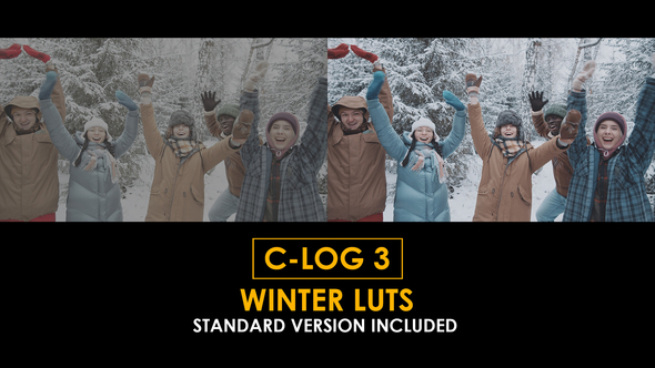 C-Log3 Winter and Standard Color LUTs alt