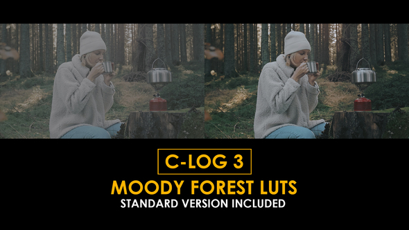 C-Log3 Moody Forest and Standard Color LUTs alt