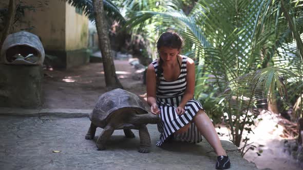 Young Beautiful Tourist Woman Strocking Turtoise