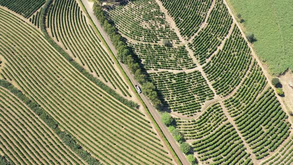 Rural landscape aerial view. Nature scenery