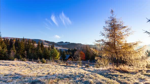 Amazing Autumn Landscape / Videohive