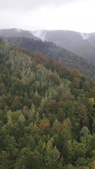 Carpathian Mountains