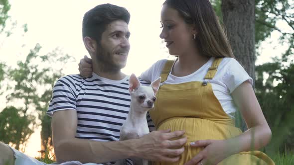 Couples Hands On Pregnant Woman's Baby Belly With her little dog Chihuahua