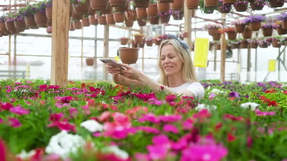 happy  Woman takes photos of colorful flowers on phone and smiles.